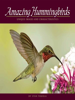cover image of Amazing Hummingbirds